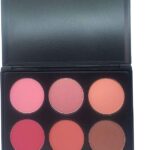 MN makeup 6 color blusher -B